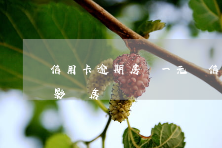 信用卡逾期房貸一元錢(信用卡逾期幾十塊錢影響房貸嗎)