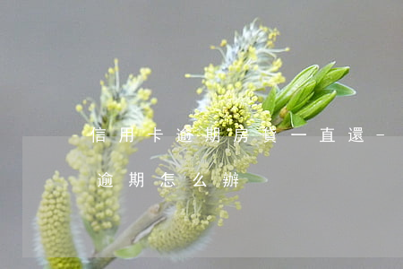信用卡逾期房貸一直還-房貸銀行的信用卡逾期怎么辦