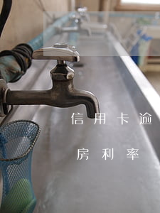 信用卡逾期房貸上浮多少(信用卡逾期貸款買房利率會(huì)上漲多少)
