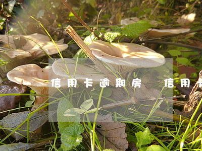 信用卡 逾期 房貸（信用卡近期逾期不讓貸款）