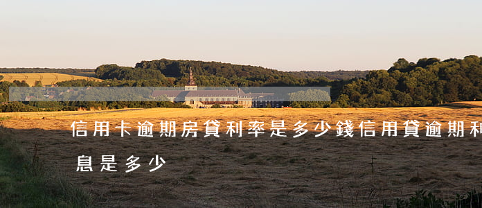 信用卡逾期房貸利率是多少錢(信用貸逾期利息是多少)
