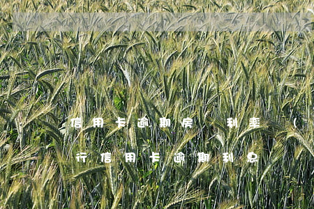 信用卡逾期房貸利率會(huì)高嗎(各銀行信用卡逾期利息)