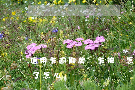 信用卡逾期房貸卡被鎖怎么辦-房貸卡逾期了怎么辦?
