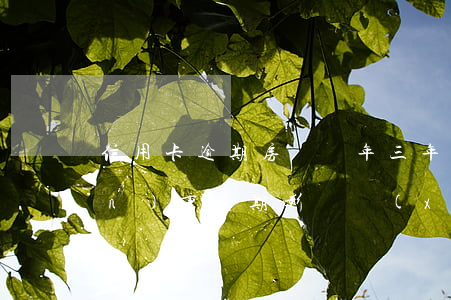 信用卡逾期房貸幾年(三年前信用卡嚴(yán)重逾期影響現(xiàn)在的房貸嗎)