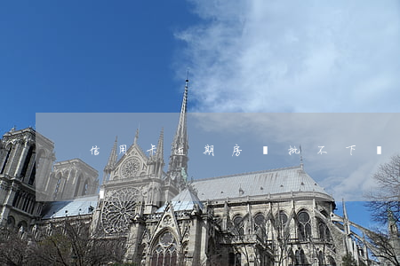 信用卡逾期房貸批不下來(信用卡逾期辦理房貸)