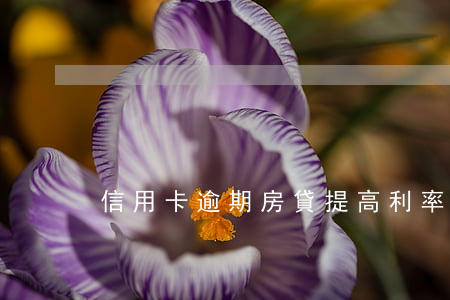 信用卡逾期房貸提高利率(信用卡逾期年利率)