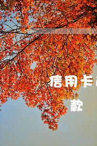 信用卡逾期房貸正常還款(信用卡逾期過還能貸款買房嗎)