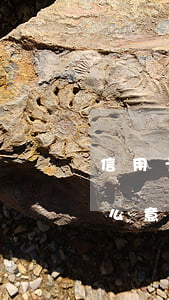 信用卡逾期房貸看金額嗎(房貸逾期金額是什么意思)