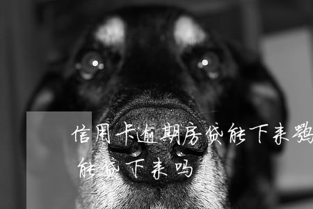 信用卡逾期房贷能下来嘛(信用卡有逾期贷款能贷下来吗)