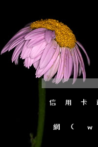 信用卡逾期所有網(wǎng)貸都不能借 網(wǎng)貸逾期不還可以辦信用卡嗎