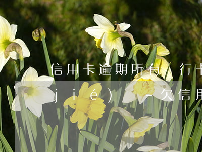 信用卡逾期所有銀行卡會(huì)凍結(jié)嗎-欠信用卡逾期會(huì)凍結(jié)銀行卡嗎