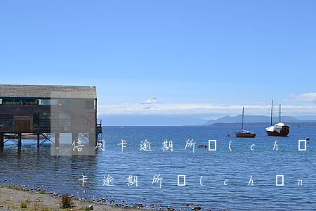 信用卡逾期所產(chǎn)生的利息(信用卡逾期所產(chǎn)生的利息還要計(jì)利息嗎)