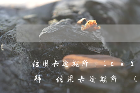 信用卡逾期所產(chǎn)生的利息如何解決(信用卡逾期所產(chǎn)生的利息如何解決)