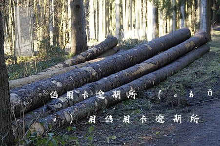 信用卡逾期所產(chǎn)生的費(fèi)用(信用卡逾期所產(chǎn)生的費(fèi)用會(huì)計(jì)分錄)