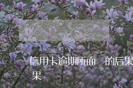 信用卡逾期所面臨的后果(銀行信用卡逾期后果)