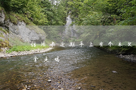 信用卡逾期手上有个车 欠信用卡逾期车会被拿走吗