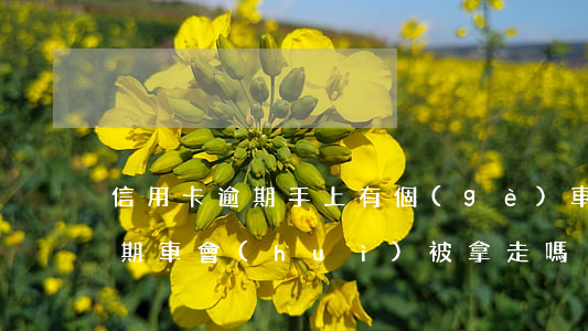 信用卡逾期手上有個(gè)車 欠信用卡逾期車會(huì)被拿走嗎
