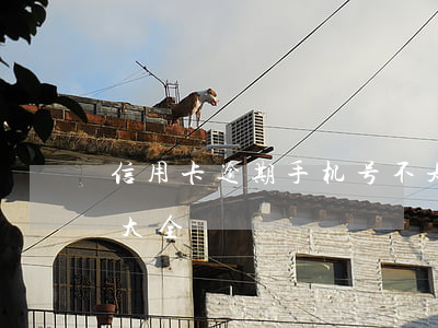 信用卡逾期手机号不是实名的(3.35宝石大全)