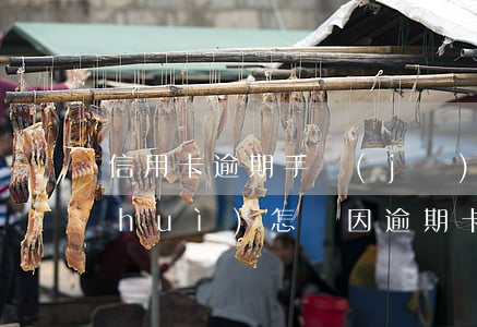 信用卡逾期手機(jī)停機(jī)會(huì)怎樣(因逾期卡被停用怎么辦)