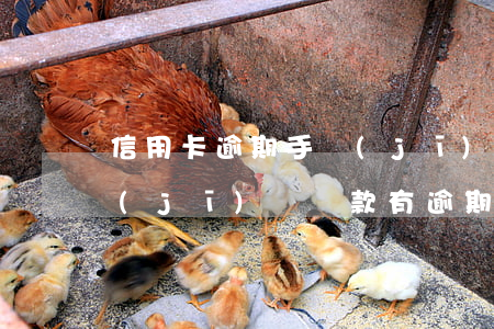 信用卡逾期手機(jī)會(huì)停機(jī)嗎 貸款有逾期信用卡會(huì)被停嗎
