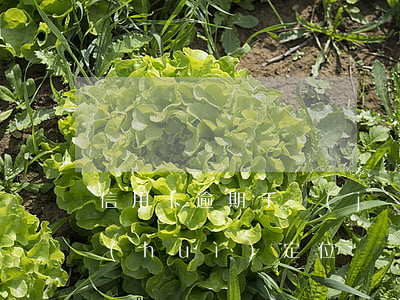 信用卡逾期手機(jī)號(hào)碼會(huì)定位嗎