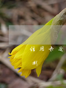 信用卡逾期手機(jī)號被限制嗎(逾期會影響電話卡嗎)
