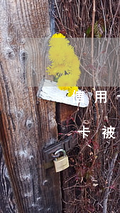 信用卡逾期手機(jī)貸被拒(有房貸信用卡被拒)