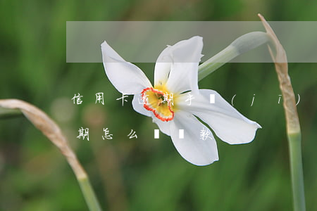 信用卡逾期手機(jī)銀行下載(信用卡逾期怎么辦貸款)