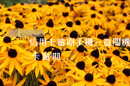 信用卡逾期手機一直關機后果-為什么信用卡逾期