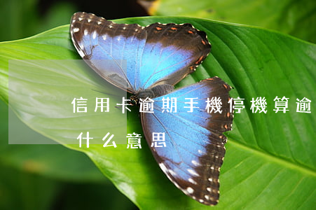 信用卡逾期手機停機算逾期么(手機卡逾期是什么意思)