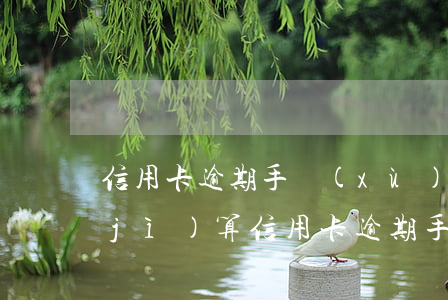 信用卡逾期手續(xù)費(fèi)計(jì)算(信用卡逾期手續(xù)費(fèi)計(jì)算)