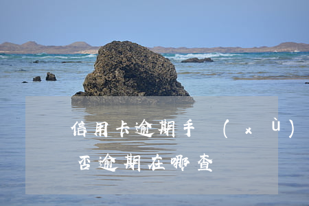 信用卡逾期手續(xù)費在哪查(信用卡是否逾期在哪查詢)