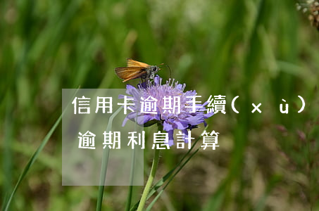 信用卡逾期手續(xù)費計算公式(信用卡逾期利息計算)