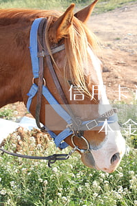 信用卡逾期才收利息嗎(欠信用卡逾期利息超過本金)