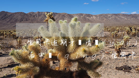 信用卡逾期才還清 嚴(yán)重逾期還清后申請(qǐng)信用卡