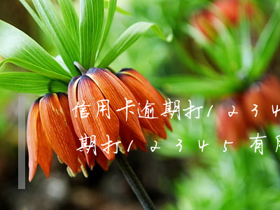信用卡逾期打12345有用嗎-信用卡逾期打12345有用嗎知乎