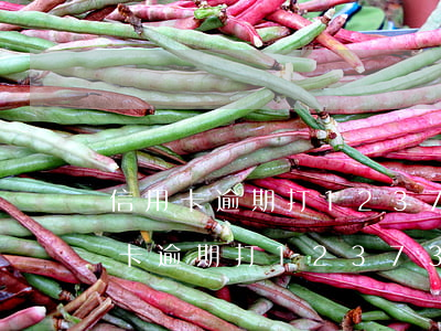 信用卡逾期打12373投訴有用嗎-信用卡逾期打12373投訴有用嗎安全嗎