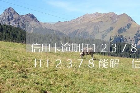 信用卡逾期打12378協(xié)商-打12378能解決信用卡問題嗎