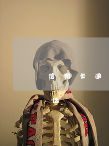 信用卡逾期打不通人工(欠信用卡逾期不接电话)