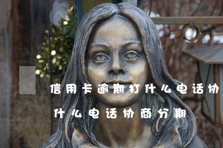 信用卡逾期打什么电话协商-信用卡逾期打什么电话协商分期
