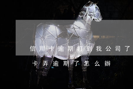 信用卡逾期打到我公司了怎么辦(把別人信用卡弄逾期了怎么辦)