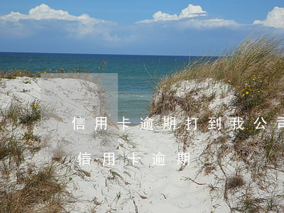 信用卡逾期打到我公司怎么辦-打電話說我信用卡逾期