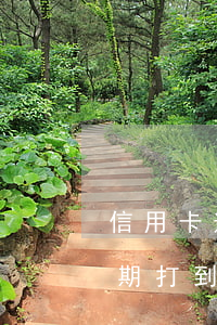 信用卡逾期打到村委会电话咋办-信用卡逾期打到村委会电话咋办呢