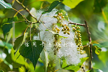 信用卡逾期打包公司