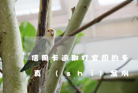 信用卡逾期打官司的多嗎(信用卡逾期打官司真實(shí)案例)