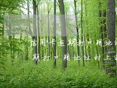 信用卡逾期打户籍地址村上电话-信用卡逾期打户籍地址村上电话可以吗