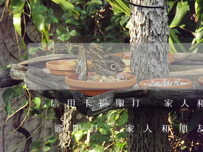 信用卡逾期打攪家人和朋友怎么辦-信用卡逾期打攪家人和朋友怎么辦呢