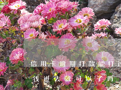 信用卡逾期打款能打过来吗(欠信用卡直接打钱进去就可以了吗)