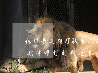 信用卡逾期打联系人合法吗(家人的信用卡逾期律师打到我这里)