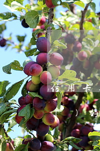信用卡逾期打銀保監(jiān)會(huì)的經(jīng)歷(銀保監(jiān)會(huì)投訴銀行的處理過程)